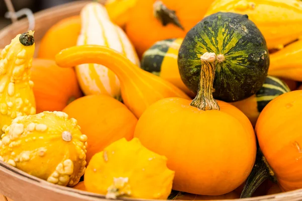 Orangenkürbisse — Stockfoto