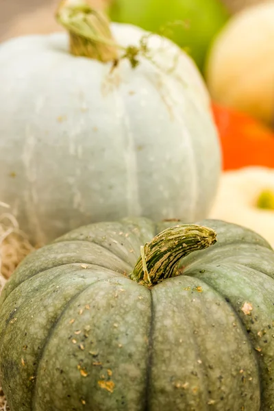 Oranje pompoenen — Stockfoto