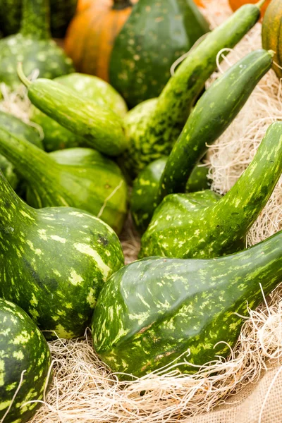 Calabazas verdes — Foto de Stock