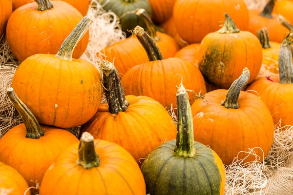 Calabazas anaranjadas —  Fotos de Stock