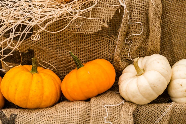 Oranje pompoenen — Stockfoto