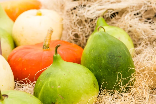 Calabazas anaranjadas —  Fotos de Stock