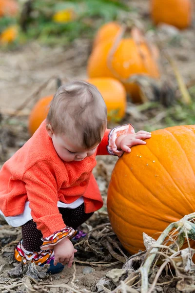 Flicka på Pumpkin patch — Stockfoto