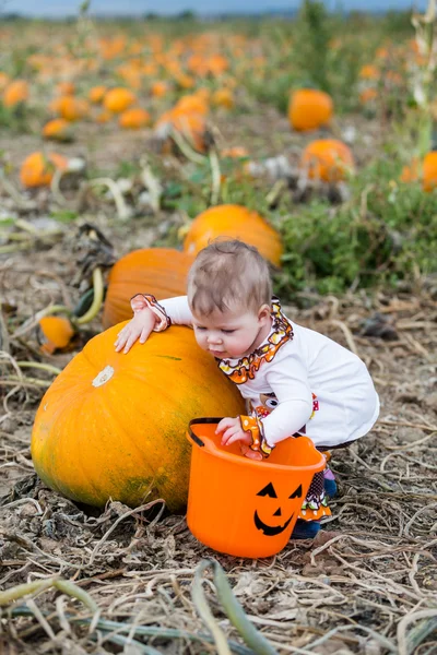 Flicka på Pumpkin patch — Stockfoto