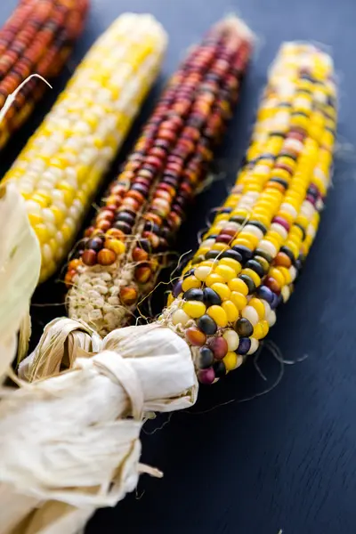 Flint corn — Stock Photo, Image