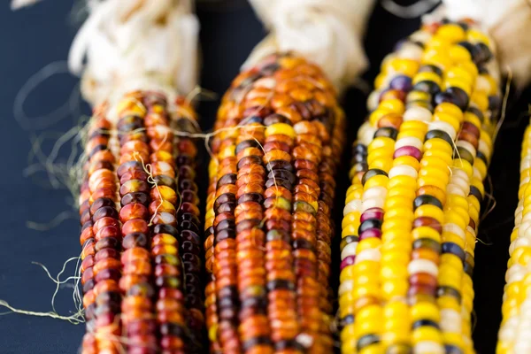 Flint corn — Stock Photo, Image