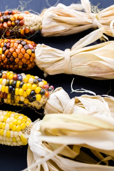 Flint corn — Stock Photo, Image