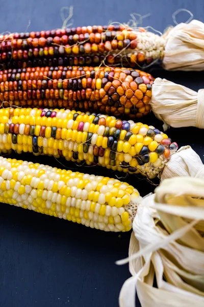 Flint corn — Stock Photo, Image