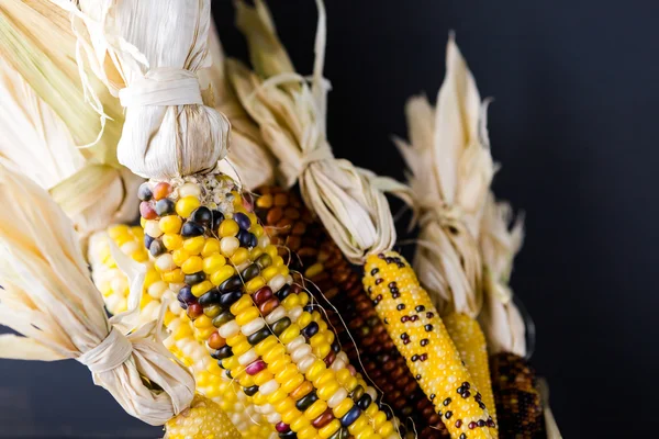 Flint corn — Stock Photo, Image