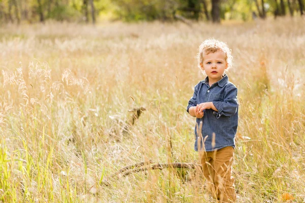 Schattig peuter — Stockfoto