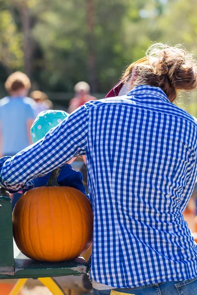 Patch di zucca — Foto Stock