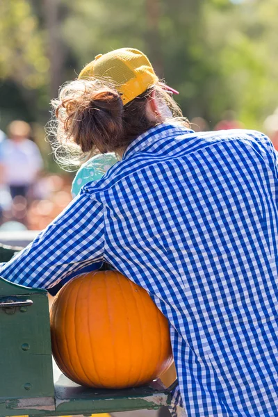 Patch di zucca — Foto Stock