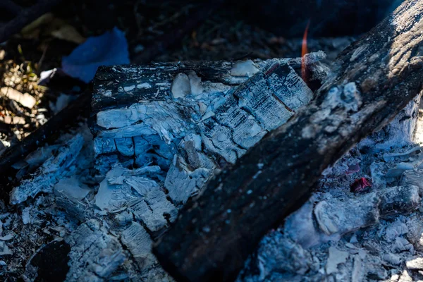 Fire pit with wood — Stock Photo, Image