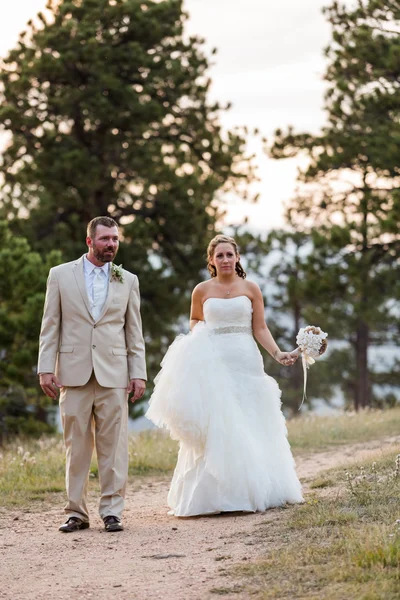 Pequeña boda al aire libre —  Fotos de Stock