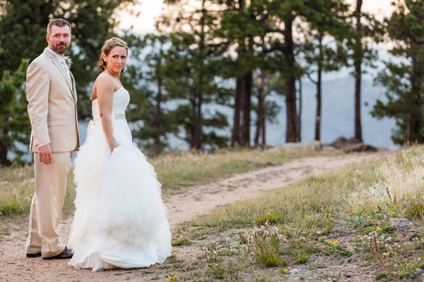 Small outdoor wedding — Stock Photo, Image