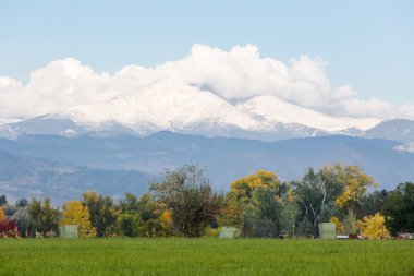 Elma çiftliği, gündüz