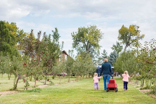 Pomme ferme — Photo