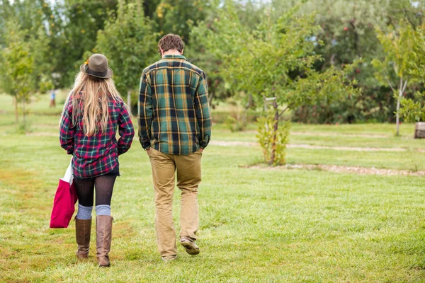 Menschen gehen auf Apfelbauernhof — Stockfoto