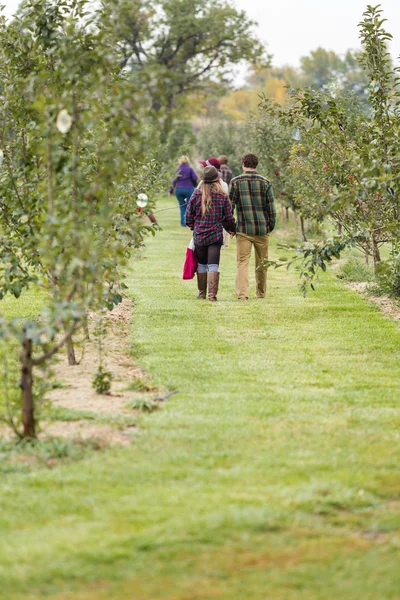 People walking at Apple farm — Stock Photo, Image
