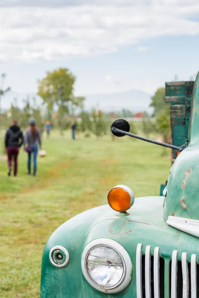 Zelený staré auto na farmě Apple — Stock fotografie