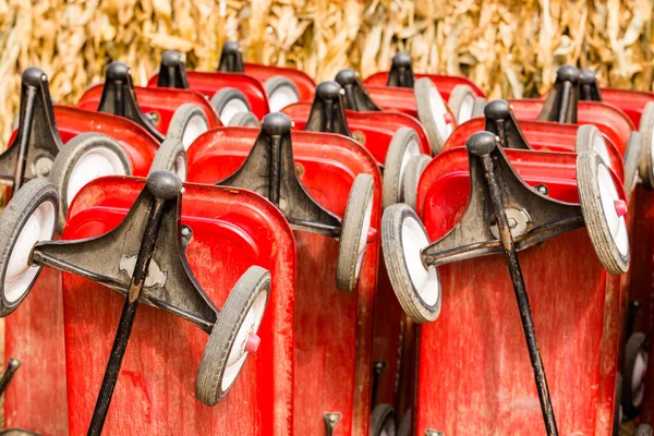 Pumpkin patch — Stock Photo, Image