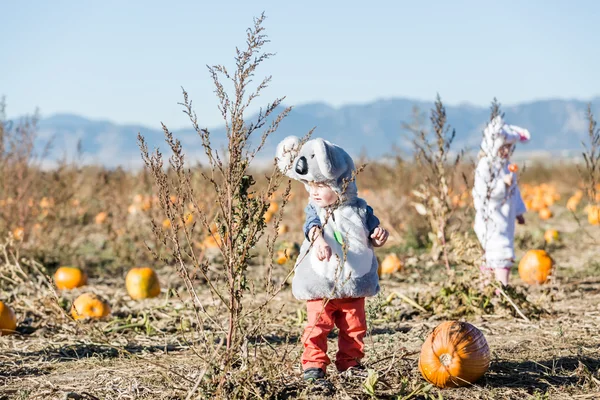 Cadılar Bayramı kostümleri şirin çocuklara — Stok fotoğraf