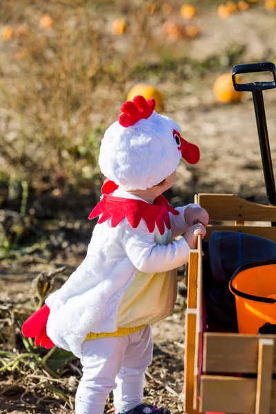Słodkie dziecko w kostium na Halloween — Zdjęcie stockowe