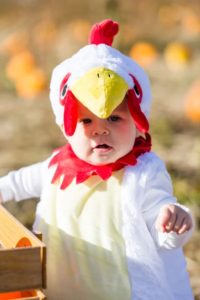 Cute kid in Halloween costume — Stock Photo, Image