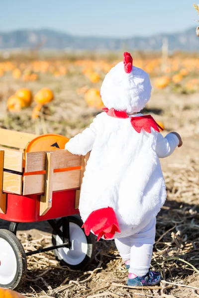 Cute kid in Halloween costume — Stock Photo, Image