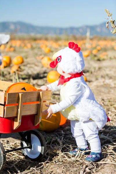 Niedliches Kind im Halloween-Kostüm — Stockfoto