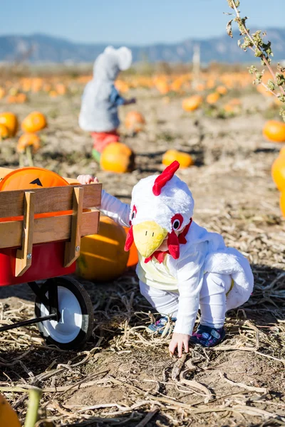 Halloween kostymer — Stockfoto