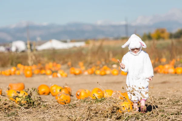 Şirin çocuk içinde Halloween kılık — Stok fotoğraf