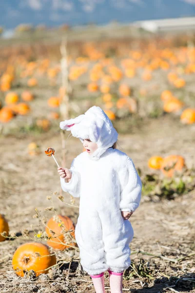 Niño lindo disfrazado de Halloween — Foto de Stock