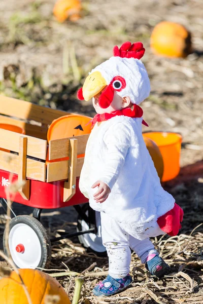 Schattige jongen in Halloween kostuum — Stockfoto