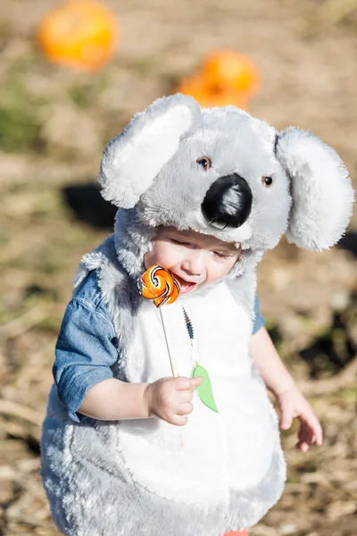 Schattige jongen in Halloween kostuum — Stockfoto