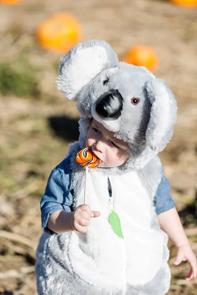 Roztomilé dítě v Halloween kostýmu — Stock fotografie