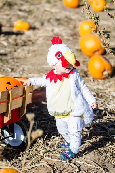 Şirin çocuk içinde Halloween kılık — Stok fotoğraf