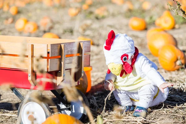 Söta unge i Halloween-kostym — Stockfoto