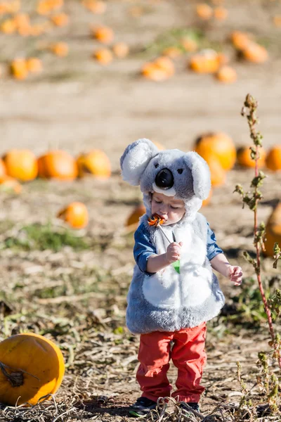 Cute kid in Halloween costume — Stock Photo, Image