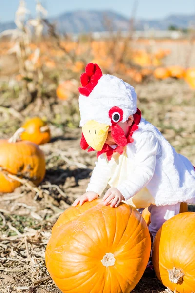 Schattige jongen in Halloween kostuum — Stockfoto