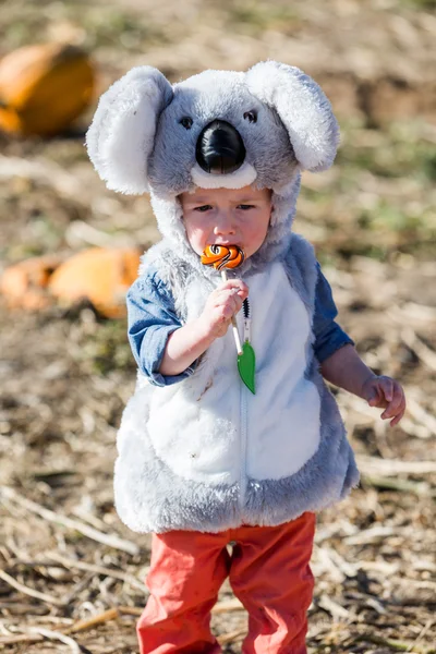 Roztomilé dítě v Halloween kostýmu — Stock fotografie