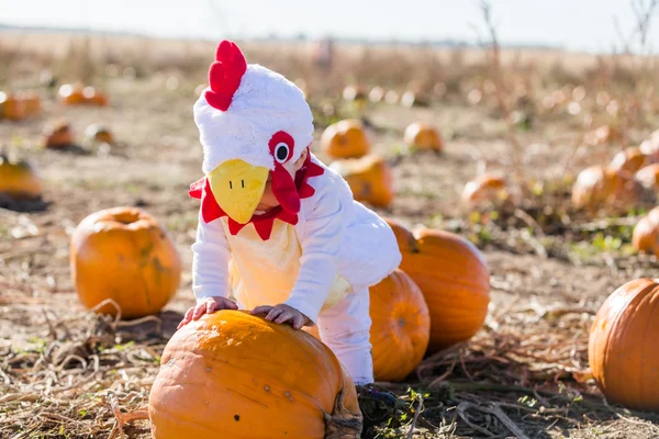 Cute kid in Halloween costume — Stock Photo, Image