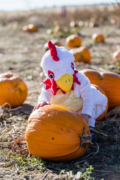 Söta unge i Halloween-kostym — Stockfoto