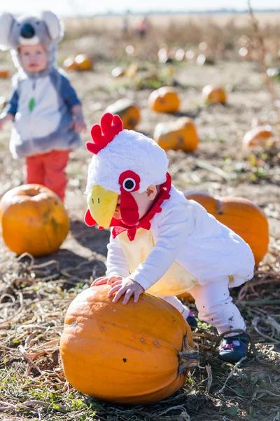 Halloween kostuums — Stockfoto