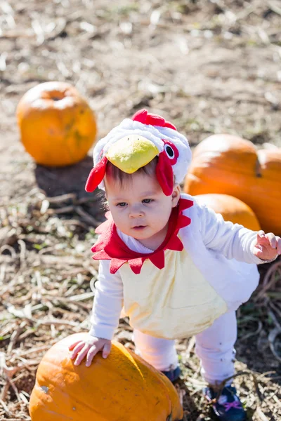 Cute kid in Halloween costume — Stock Photo, Image