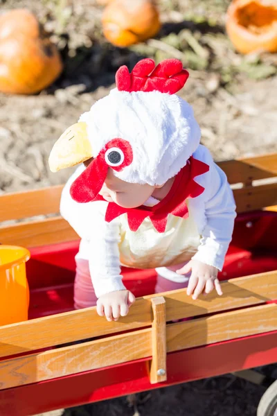 Niño lindo disfrazado de Halloween —  Fotos de Stock