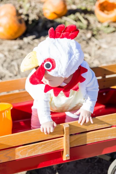 Söta unge i Halloween-kostym — Stockfoto