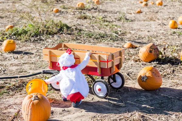 Słodkie dziecko w kostium na Halloween — Zdjęcie stockowe