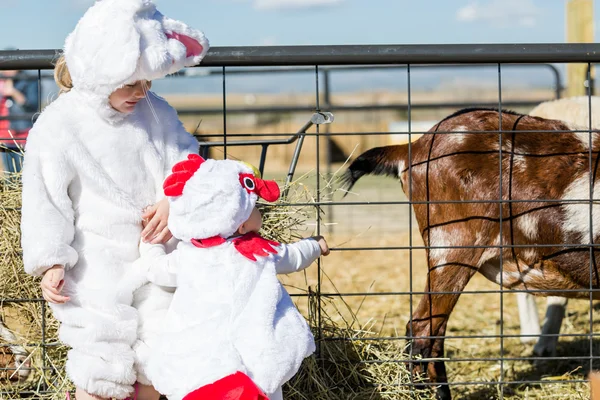 Cute kids in Halloween costumes