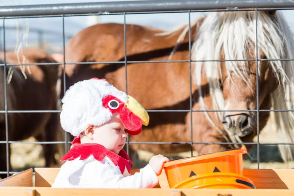 Niedliches Kind im Halloween-Kostüm — Stockfoto